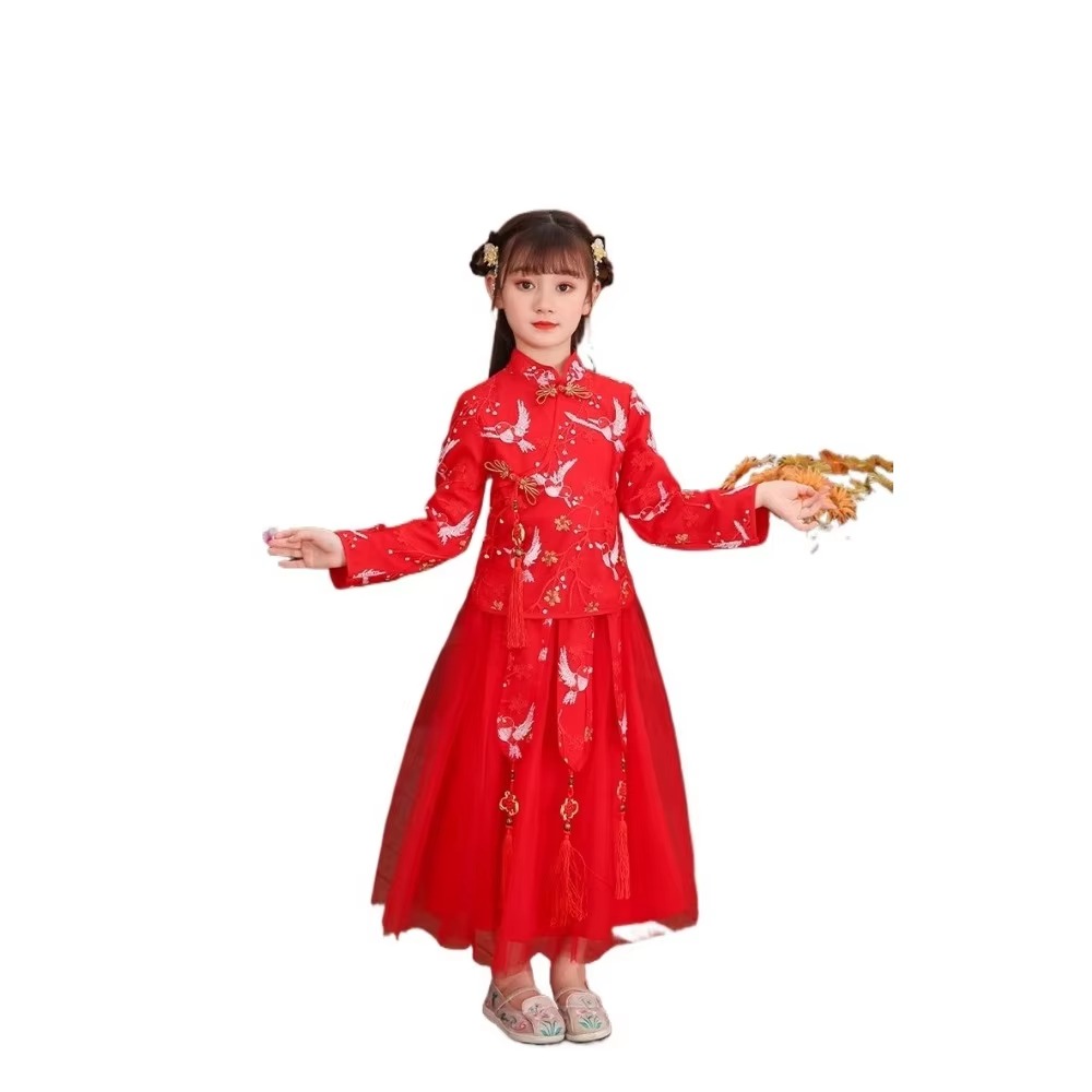 Fashion Show Ethnic Wear - Tenue de danse brodée de style